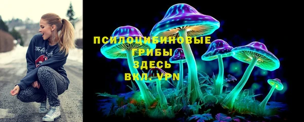 ПСИЛОЦИБИНОВЫЕ ГРИБЫ Михайловск