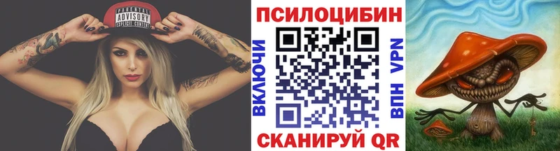 Псилоцибиновые грибы Psilocybe где купить наркотик Одинцово