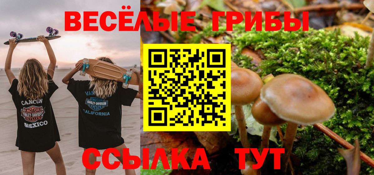 Галлюциногенные грибы Cubensis  Вход с VPN  Одинцово 