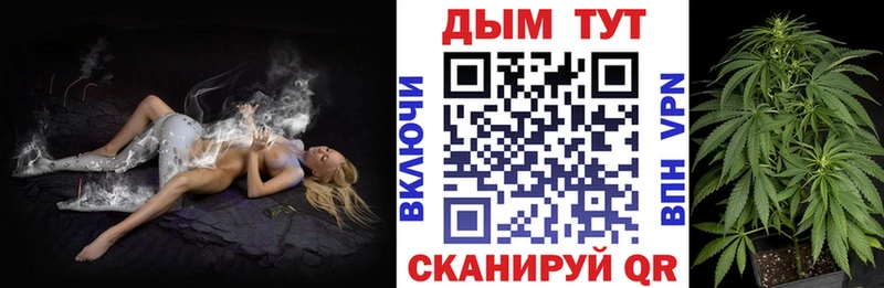 Бошки Шишки планчик Одинцово
